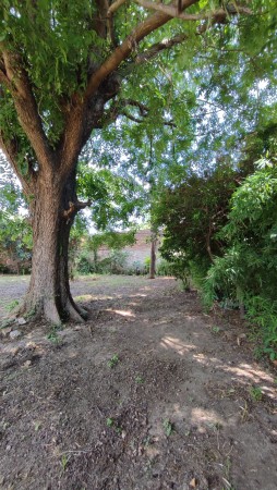 Alquiler de casa en Rincon