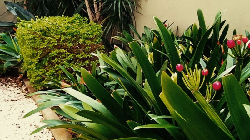 Alquiler de departamento amoblado